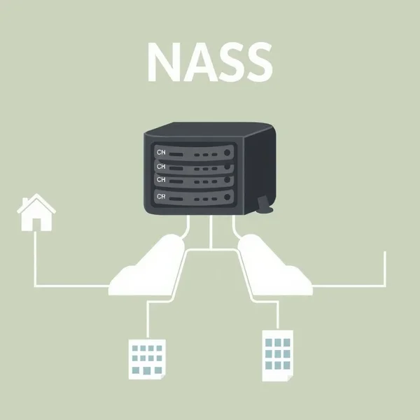 Image illustrating the abbreviation NAS and its network connectivity