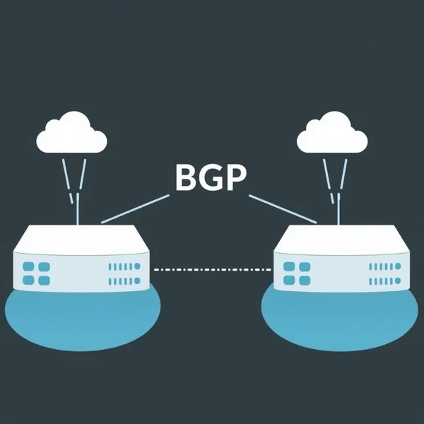 Understanding the BGP abbreviation in network diagrams