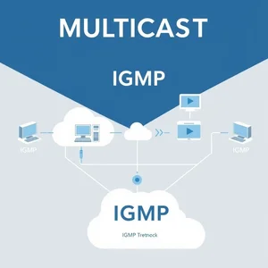 Imparare l'inglese con IGMP: significato e applicazioni tecniche