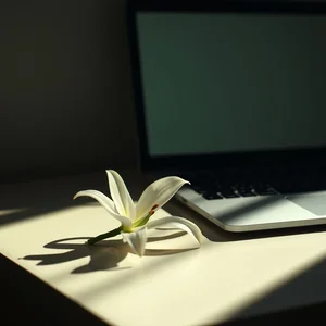 How to Write a Bereavement Leave Inquiry Email: Template & Tips