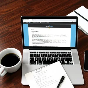 Referral Request Tavsiye İsteği E-postası Yazma Rehberi