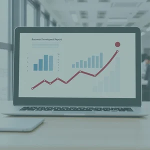 강력한 Business Development Report 작성법 전문가를 위한 안내서