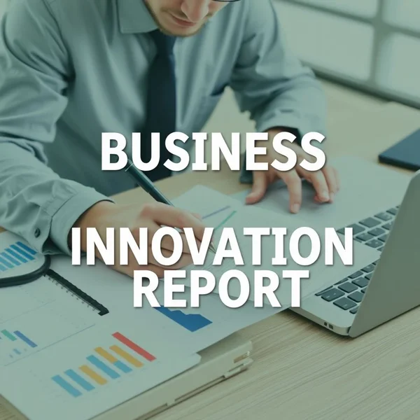 Business Innovation Report
