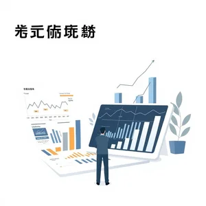 全面了解Financial Risk Report助你提升财务分析能力