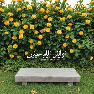 تقرير استراتيجي النمو يوضح خطط التوسع وتحقيق الأهداف