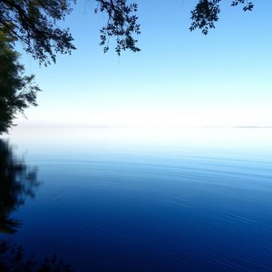 Synonyms for Calm Achieve Expressive Language