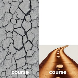 Coarse vs. Course: Master These Tricky Homophones