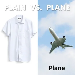 Plain vs. Plane Descifrando estos homófonos comunes del inglés