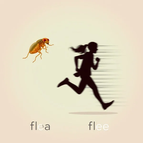 Understanding the difference between flea vs. flee for English learners