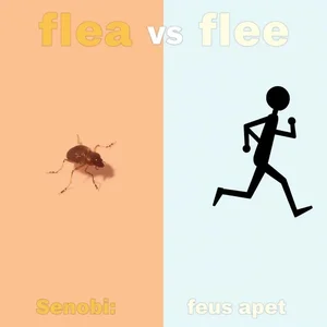 Flea vs Flee Hiểu Rõ Từ Đồng Âm Tránh Nhầm Lẫn