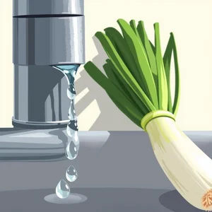 Leak vs. Leek: Master the Difference Between These Homophones
