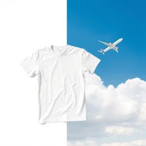 Plain vs. Plane: Understanding These Confusing Homophones