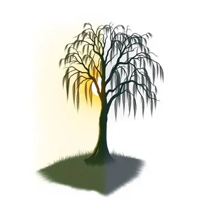 Morning vs. Mourning: Understand These Confusing Homophones