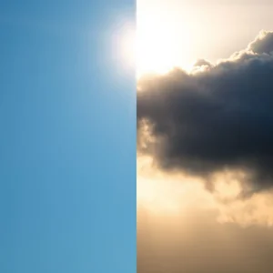Morning vs. Mourning Descifrando Homófonos Confusos del Inglés