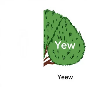 You vs. Yew Descifrando el Código de Homófonos Confusos