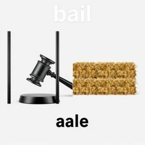Bail vs Bale desenredando palabras confusas en inglés