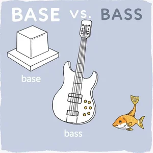 Base vs. Bass Cómo Dominar Estos Complicados Homófonos en Inglés