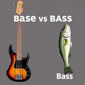 Nắm vững Base vs. Bass Những Từ Đồng Âm Tiếng Anh Gây Nhầm Lẫn