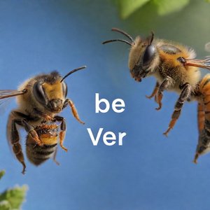 Be vs. Bee Có Gì Khác Nhau Hướng Dẫn Cho Người Học Tiếng Anh
