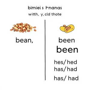 Bean vs Been Domina Estos Homófonos Comunes del Inglés