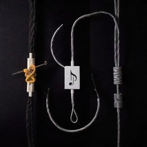 chord vs. cord Sự khác biệt và cách sử dụng chính xác