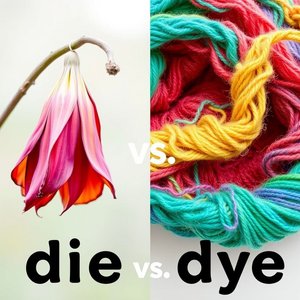 Dominando die vs. dye A Diferença Entre Homófonos Capciosos