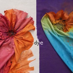 Die vs. Dye Nắm Vững Sự Khác Biệt Hai Từ Đồng Âm Dễ Nhầm Lẫn