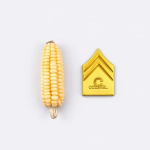 Kernel vs. Colonel: Understand This Confusing Word Pair