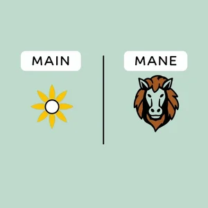 Main vs. Mane Entendendo as Principais Diferenças Nestes Homófonos