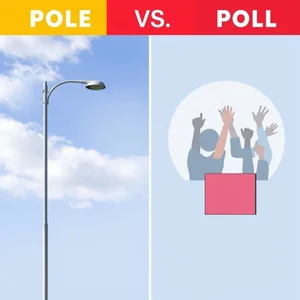 pole vs. poll Gỡ rối hai từ thường bị nhầm lẫn