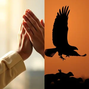 Pray vs Prey Desvendando a Diferença de Palavras Confundidas
