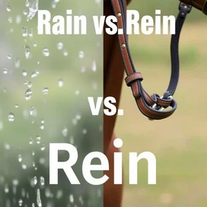 Rain vs Rein No Dejes Que Estos Homofonos Arruinen Tu Ingles