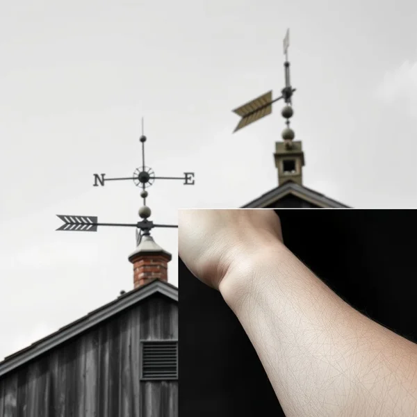 Image illustrating a weather vane and a human circulatory vein with the text "Vane vs. Vein"