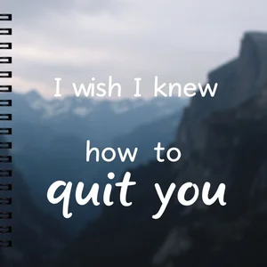 Aprenda Inglês Entendendo as Nuances de "I wish I knew how to quit you"