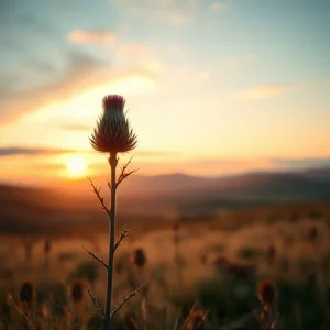 Learn English: I will love you my whole life. You and no other.