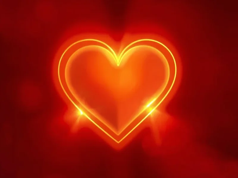 Entendiendo el significado de You have a place in my heart no one else ever could have