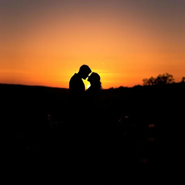 Learn English with the quote: I love you. More than I've ever loved anyone.