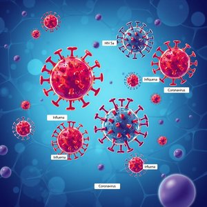 Viruses Glossary Key Terms and Meanings