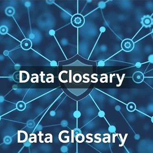 Data Integrity Glossary Thuật Ngữ Chính và Cách Sử Dụng